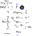 Thumbnail for version as of 21:17, 2 November 2005