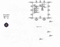 Thumbnail for version as of 20:05, 2 November 2005
