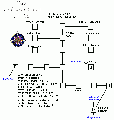 Thumbnail for version as of 21:08, 2 November 2005